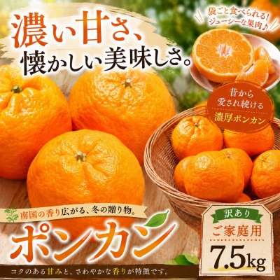 <濃厚な甘み 愛媛県産ポンカン 合計約7.5kg>ミカン 蜜柑 ご家庭用