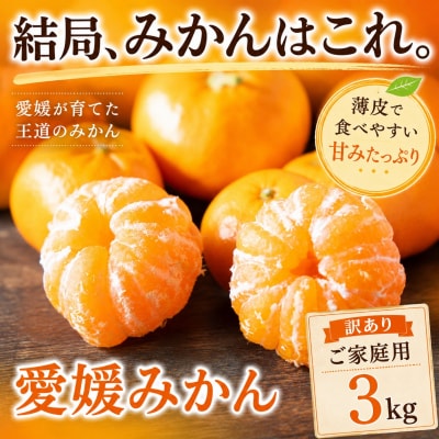 <玉宝の味わい 愛媛県産みかん 合計約3kgミカン 蜜柑 ご家庭用 
