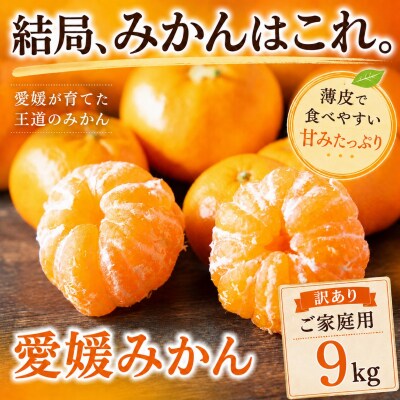 <玉宝の味わい 愛媛県産みかん 合計約9kgミカン 蜜柑 ご家庭用