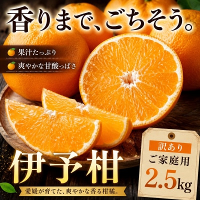 [香り立つ果実 愛媛県産伊予柑 合計約2.5kg]ミカン 蜜柑 ご家庭用