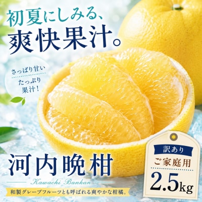 [涼果の旨み 愛媛県産河内晩柑 合計約2.5kg]爽やか ミカン 蜜柑 ご家庭用