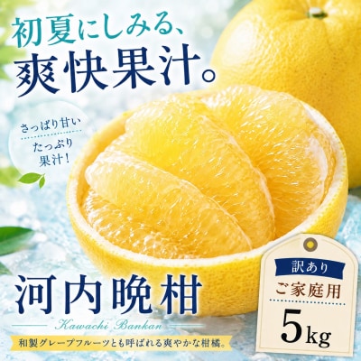 <涼果の旨み 愛媛県産河内晩柑 合計約5kg>爽やか ミカン 蜜柑 ご家庭用