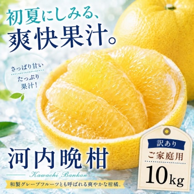 <涼果の旨み 愛媛県産河内晩柑 合計約10kg>爽やか ミカン 蜜柑 ご家庭用