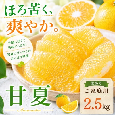 [涼果の旨み 愛媛県産甘夏 合計約2.5kg] 爽やか ミカン 蜜柑 ご家庭用