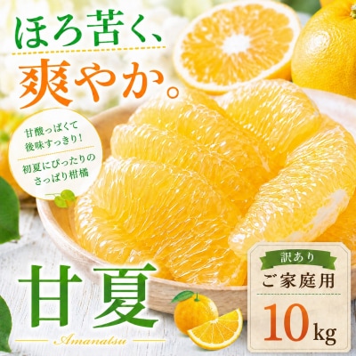 [涼果の旨み 愛媛県産甘夏 合計約10kg]爽やか ミカン 蜜柑 ご家庭用