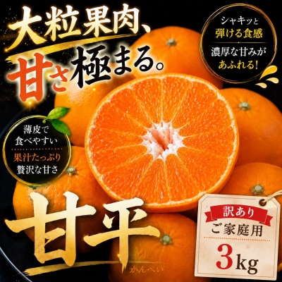  <濃密な甘み 愛媛県産甘平 合計約3kg> ミカン 蜜柑 ご家庭用
