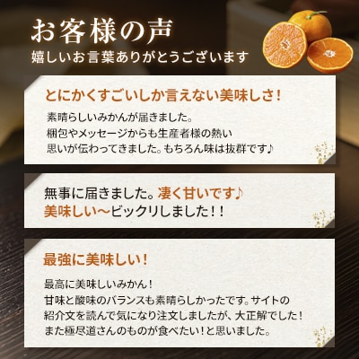  <濃密な甘み 愛媛県産甘平 合計約3kg> ミカン 蜜柑 ご家庭用