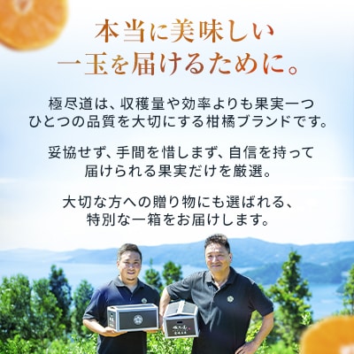  <濃密な甘み 愛媛県産甘平 合計約3kg> ミカン 蜜柑 ご家庭用