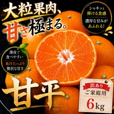 <濃密な甘み 愛媛県産甘平 合計約6kg> ミカン 蜜柑 ご家庭用