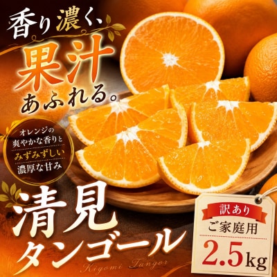 [果汁の余韻 愛媛県産清見タンゴール 合計約2.5kg]ミカン 蜜柑 ご家庭用