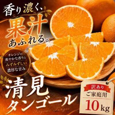 <果汁の余韻 愛媛県産清見タンゴール 合計約10kg>ミカン 蜜柑 ご家庭用