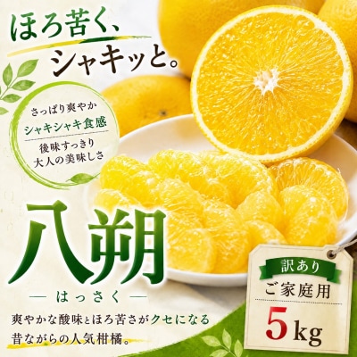<凛とした苦み 愛媛県産八朔 合計約5kg>ミカン 蜜柑 ご家庭用
