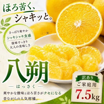 <凛とした苦み 愛媛県産八朔 合計約7.5kg>ミカン 蜜柑 ご家庭用