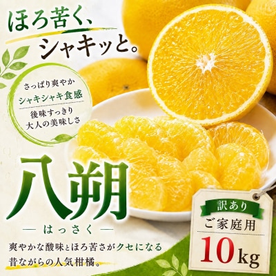 <凛とした苦み 愛媛県産八朔 合計約10kg>ミカン 蜜柑 ご家庭用