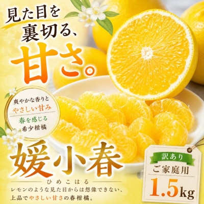 <甘さの驚き 愛媛県産媛小春 合計約1.5kg>ミカン 蜜柑 ご家庭用 