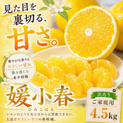 <甘さの驚き 愛媛県産媛小春 合計約4.5kg>ミカン 蜜柑 ご家庭用