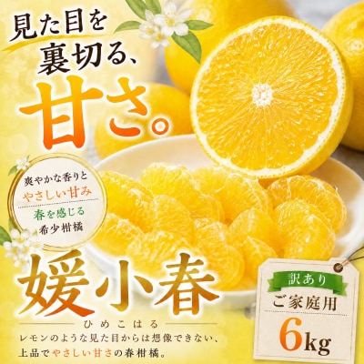 <甘さの驚き 愛媛県産媛小春 合計約6kg>ミカン 蜜柑 ご家庭用