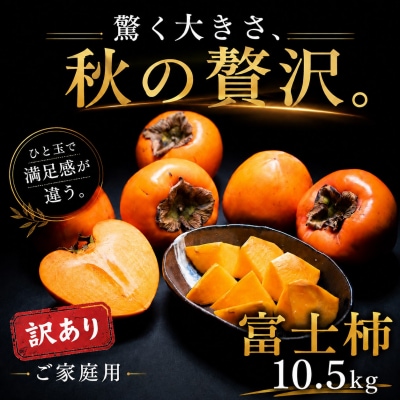<堂々たる大玉 愛媛県産富士柿 合計約10.5kg> 甘い あまい ご家庭用