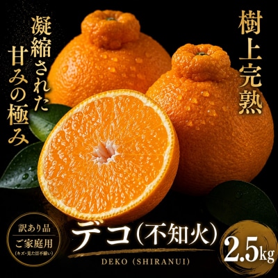<濃厚果実 愛媛県産媛デコ 合計約2.5kg>ミカン 蜜柑 ご家庭用