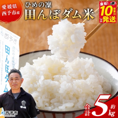 <令和8年産 愛媛県西予市産 ひめの凜 田んぼダム米 約5kg>