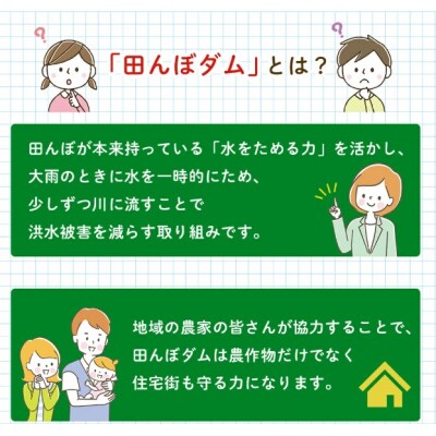 <令和8年産 愛媛県西予市産 ひめの凜 田んぼダム米 約5kg>
