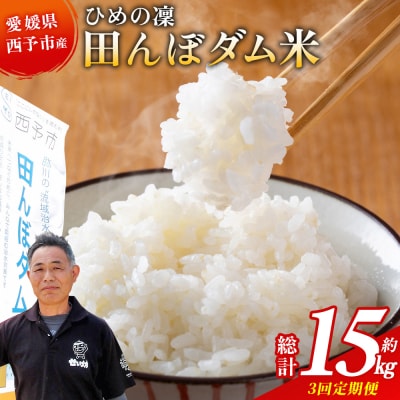 <【定期便3カ月】令和8年産 愛媛県西予市産 ひめの凜 田んぼダム米 約5kg>