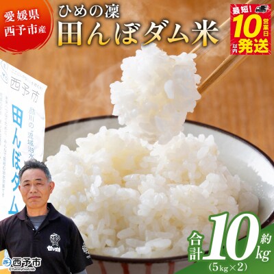 <令和8年産 愛媛県西予市産 ひめの凜 田んぼダム米 約10kg>