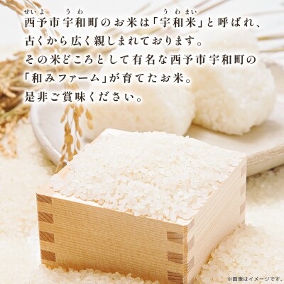 <令和8年産 愛媛県西予市産 ひめの凜 田んぼダム米 約10kg>