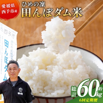 <【定期便6ヶ月】令和8年産 愛媛県西予市産 ひめの凜 田んぼダム米 約10kg>