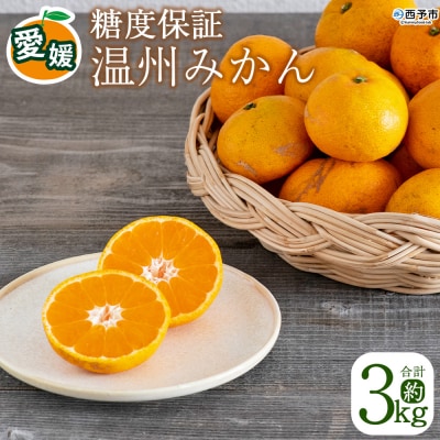<糖度保証 温州みかん 約3kg>