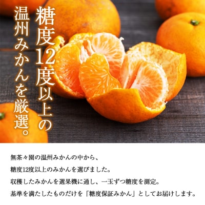 <糖度保証 温州みかん 約3kg>