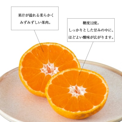 <糖度保証 温州みかん 約3kg>