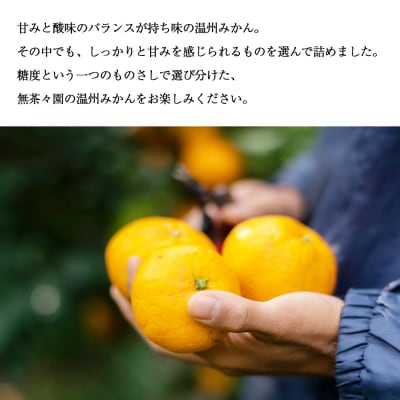 <糖度保証 温州みかん 約3kg>