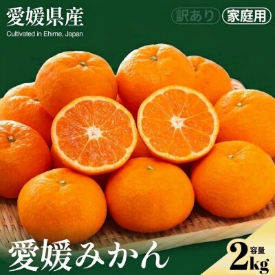 <数量限定 愛媛みかん(ご家庭用) 合計約2kg> NOT FARM 愛媛県 西予