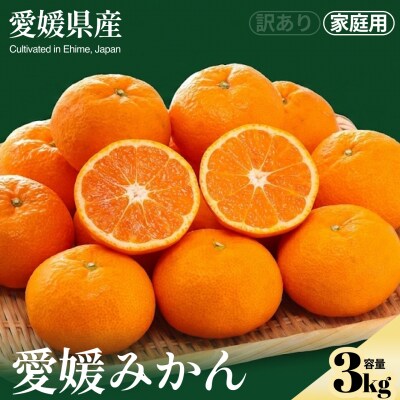 <数量限定 愛媛みかん(ご家庭用) 合計約3kg>NOT FARM 愛媛県 西予市