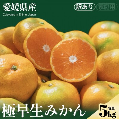 <極早生みかん(訳あり) 合計約5kg> NOT FARM 愛媛県 西予市 