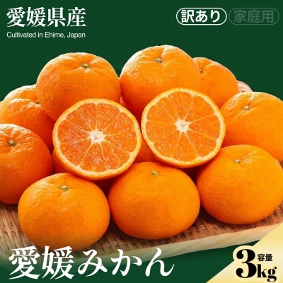 <愛媛みかん(訳あり) 合計約3kg>NOT FARM 愛媛県 西予市 