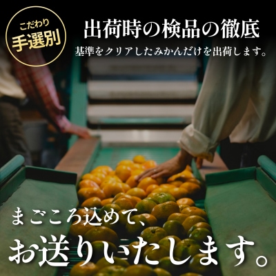 <愛媛まどんな(ご家庭用) 合計約2kg>NOT FARM 愛媛県 西予市