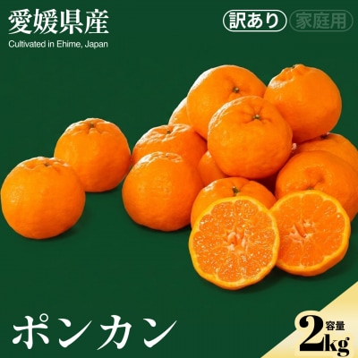 <ポンカン(訳あり)合計約2kg>NOT FARM 愛媛県 西予市 