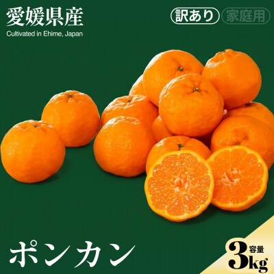 <ポンカン(訳あり)合計約3kg>NOT FARM 愛媛県 西予市 