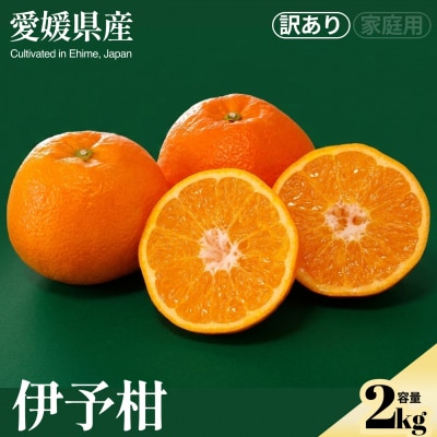 <伊予柑(訳あり)合計約2kg> NOT FARM 愛媛県 西予市