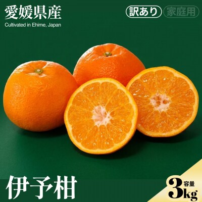 <伊予柑(訳あり)合計約3kg> NOT FARM 愛媛県 西予市