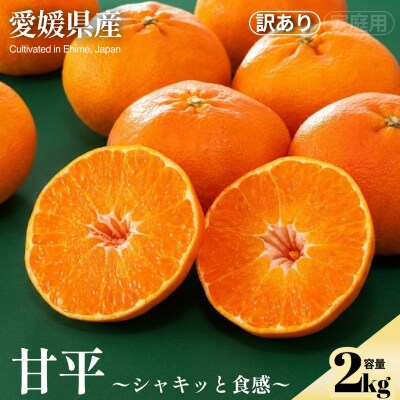 <甘平(訳あり)合計約2kg> NOT FARM 愛媛県 西予市 
