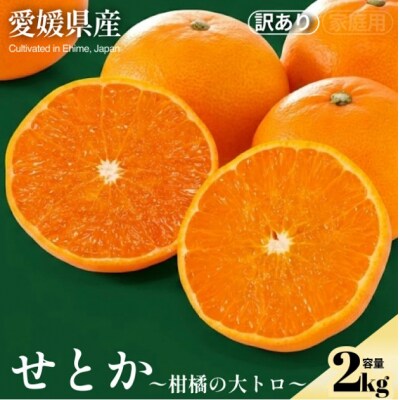 <せとか(訳あり) 合計約2kg>NOT FARM 愛媛県 西予市 