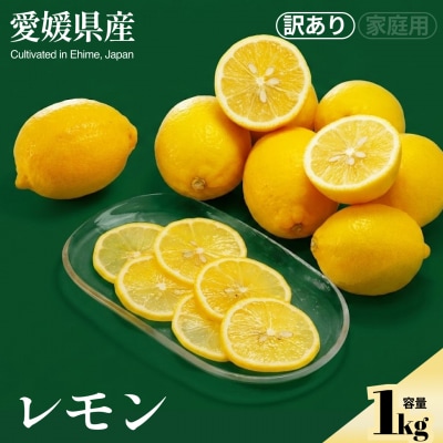 <レモン(訳あり)合計約1kg> NOT FARM 愛媛県 西予市