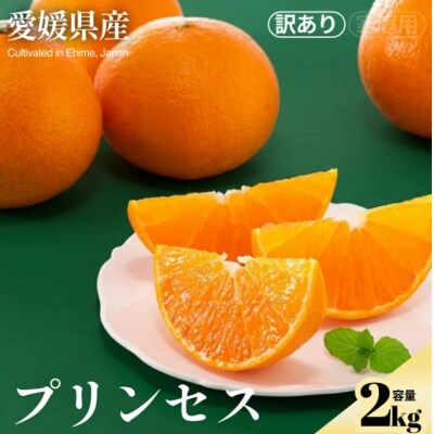 <愛果48号(訳あり)合計約2kg>NOT FARM 愛媛県 西予市