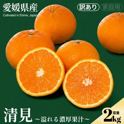 <不知火(訳あり)合計約2kg>NOT FARM 愛媛県 西予市
