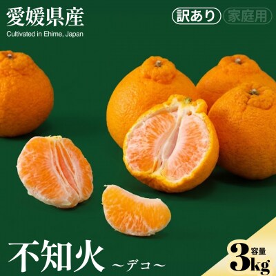 <不知火(訳あり)合計約3kg>NOT FARM 愛媛県 西予市