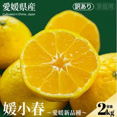 <媛小春(訳あり)合計約2kg>NOT FARM 愛媛県 西予市