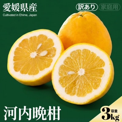 <河内晩柑(訳あり)合計約3kg>NOT FARM 愛媛県 西予市
